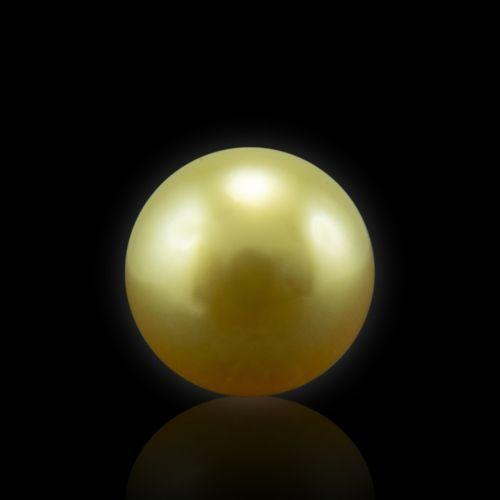 Golden South Sea Pearl - 5.77 Carat