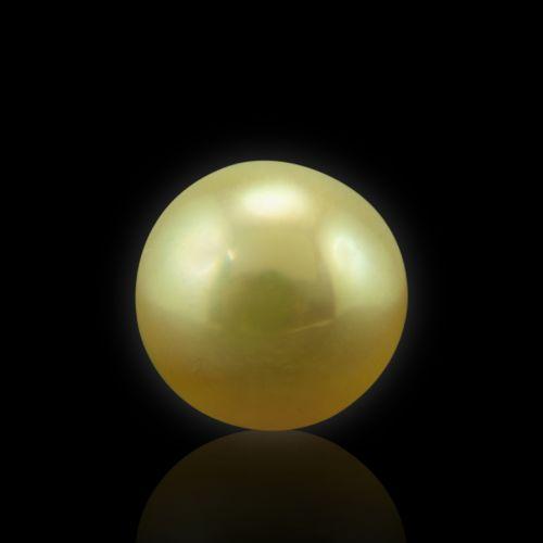Golden South Sea Pearl - 6.25 Carat