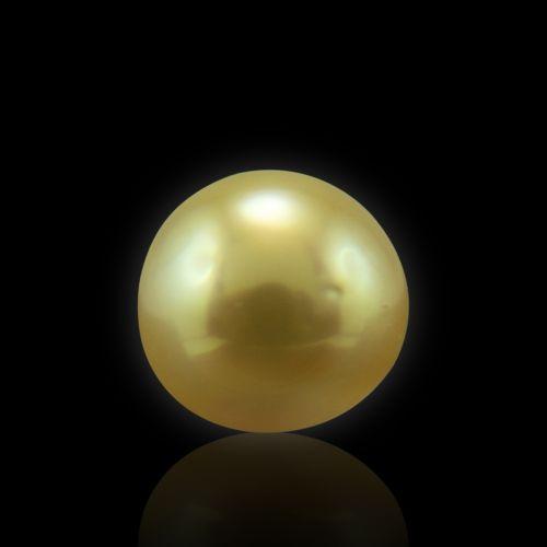 Golden South Sea Pearl - 5.31 Carat