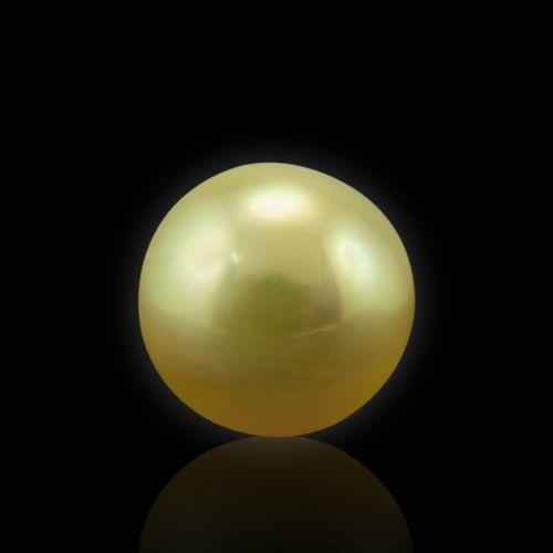 Golden South Sea Pearl - 2.64 Carat
