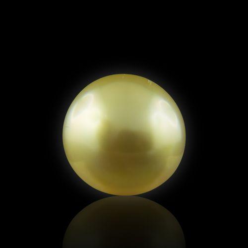 Golden South Sea Pearl - 5.66 Carat