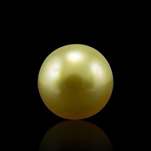 Golden South Sea Pearl - 5.57 Carat