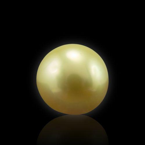 Golden South Sea Pearl - 5.58 Carat