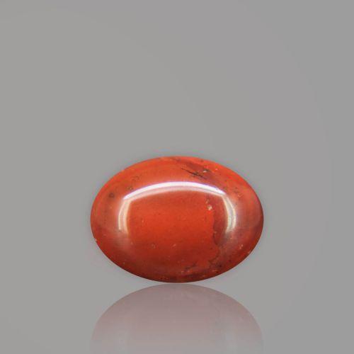 Red Jasper - 9.34 Carat