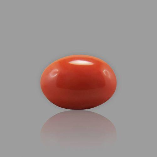 Red Coral (Moonga) Japanese - 10.80 Carat (12.00 Ratti)