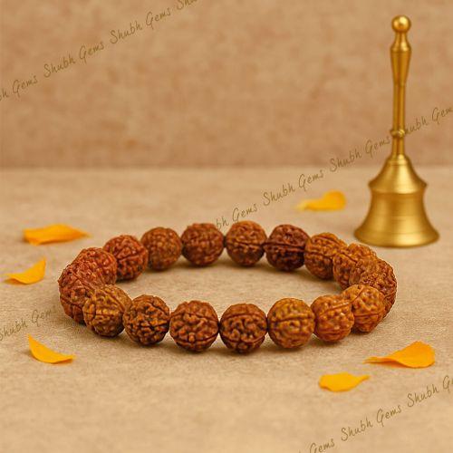 5 Mukhi Rudraksha Beads Bracelet