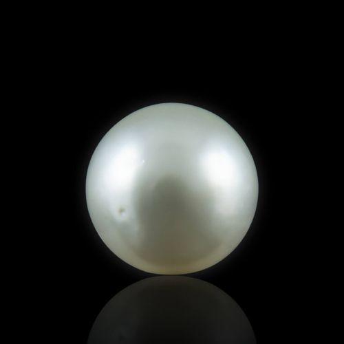 South Sea Pearl - 12.78 Carat