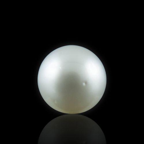 South Sea Pearl - 5.49 Carat