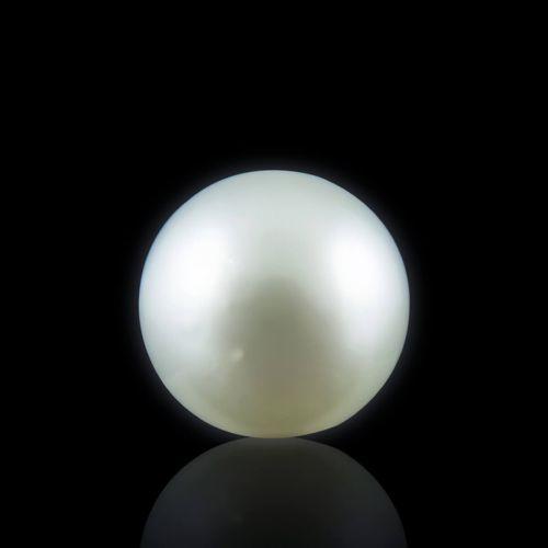 South Sea Pearl - 5.46 Carat