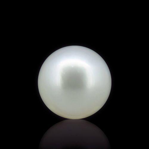 South Sea Pearl - 5.89 Carat