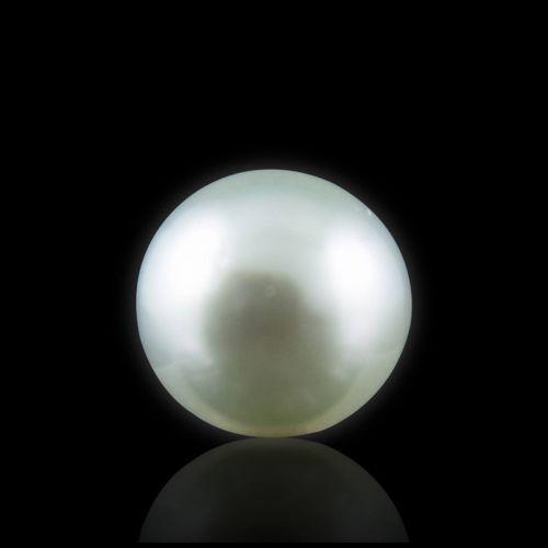 South Sea Pearl - 5.40 Carat