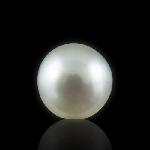 South Sea Pearl - 5.44 Carat
