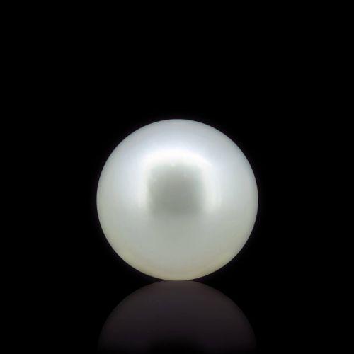 South Sea Pearl - 5.48 Carat