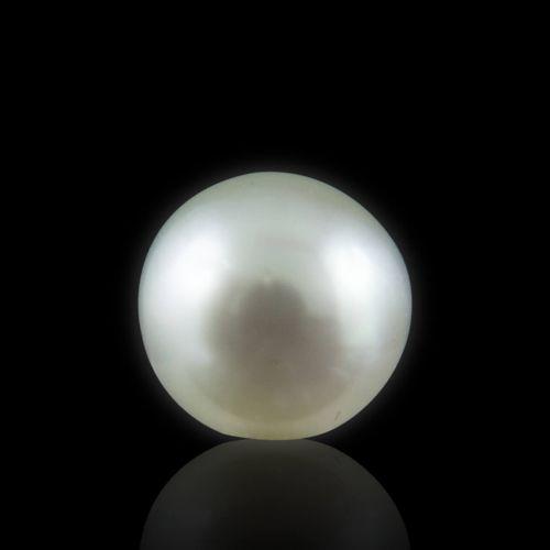 South Sea Pearl - 5.60 Carat