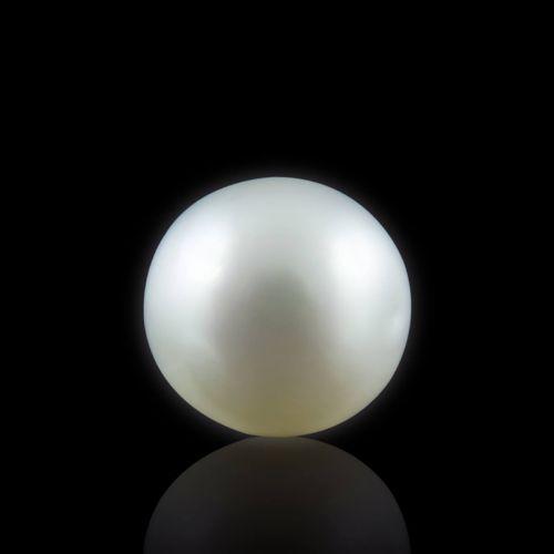 South Sea Pearl - 5.51 Carat