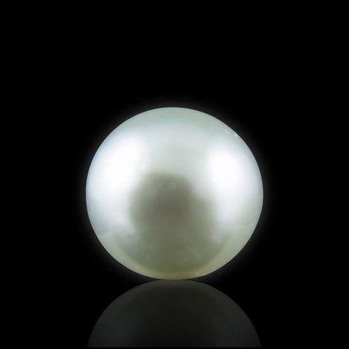 South Sea Pearl - 4.51 Carat