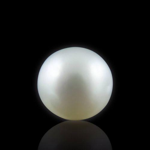 South Sea Pearl - 4.59 Carat