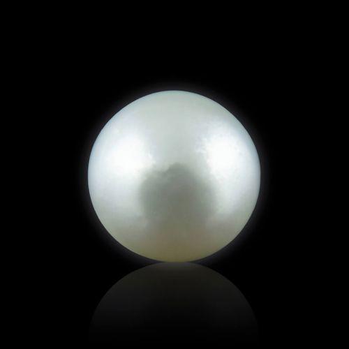 South Sea Pearl - 9.49 Carat