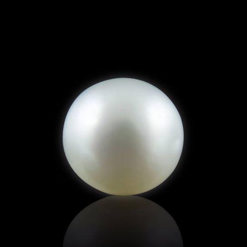 South Sea Pearl - 3.86 Carat