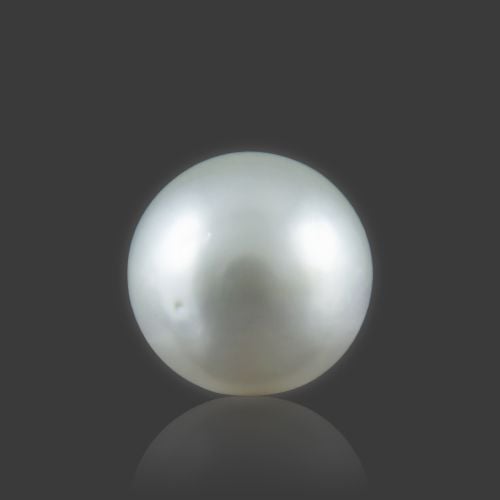 South Sea Pearl - 13.46 Carat