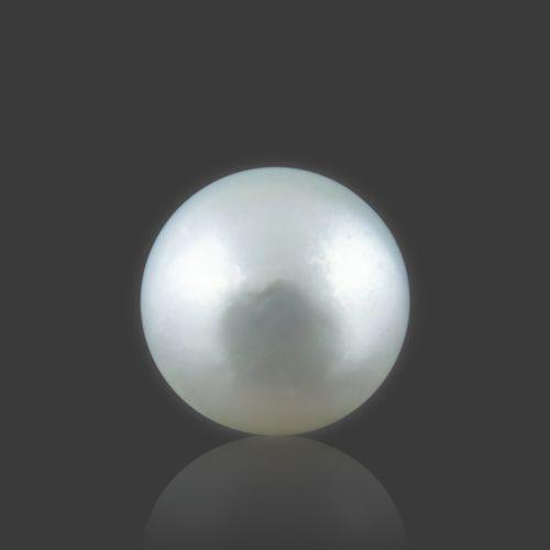 South Sea Pearl - 13.05 Carat