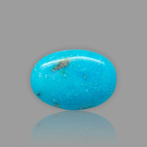 Turquoise (Firoza) - 16.65 Carat