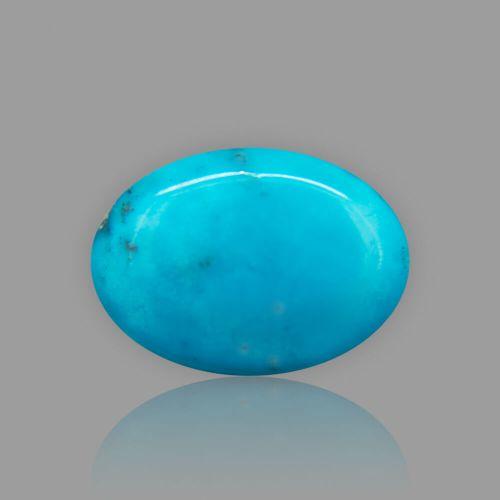 Turquoise (Firoza) - 23.60 Carat