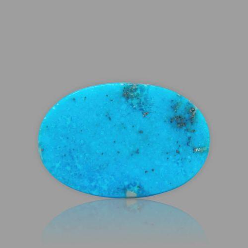 Turquoise (Firoza) - 16.27 Carat