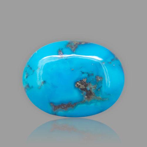 Turquoise (Firoza) - 16.75 Carat