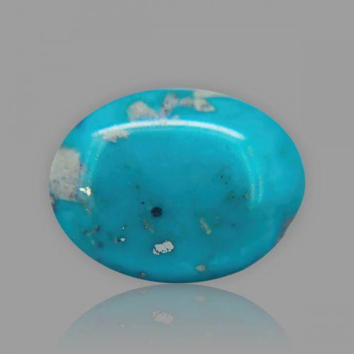 Turquoise (Firoza) - 40.63 Carat