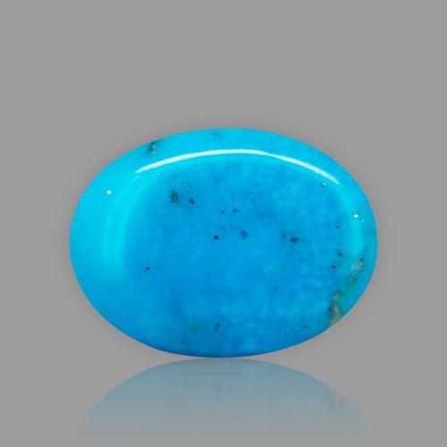 Turquoise (Firoza) - 16.47 Carat