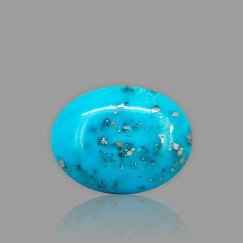 Turquoise (Firoza) - 15.80 Carat