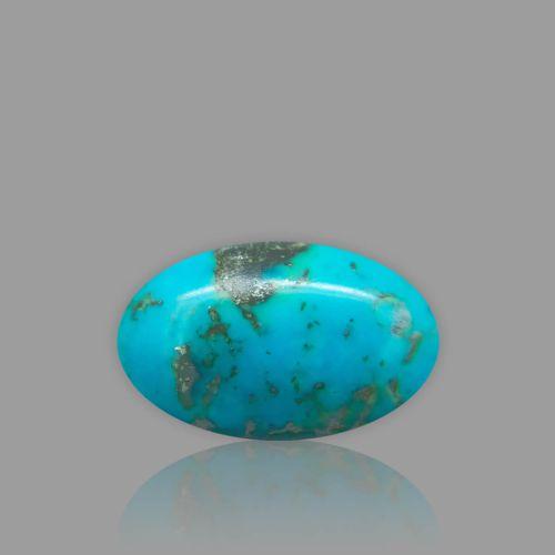 Turquoise (Firoza) - 17.91 Carat