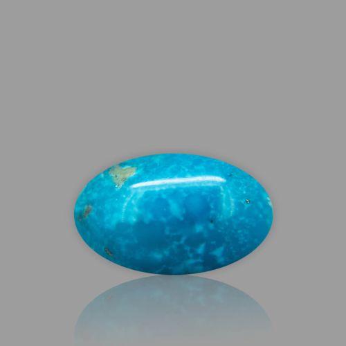 Turquoise (Firoza) - 21.76 Carat