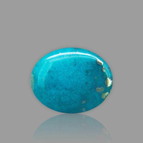 Turquoise (Firoza) - 15.79 Carat