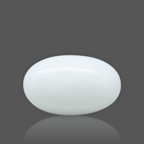White Coral - 7.80 Carat