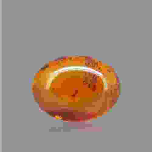 Amber Gemstone - 8.10 Carat