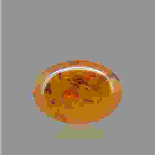 Amber Gemstone - 4.74 Carat