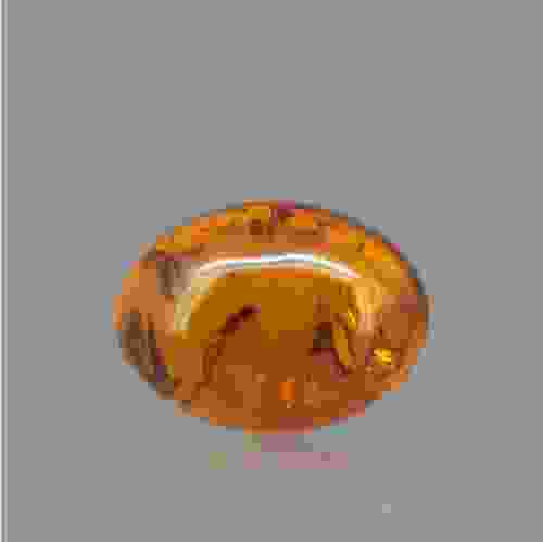 Amber Gemstone - 3.87 Carat