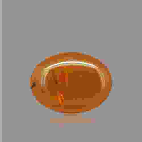 Amber Gemstone - 3.43 Carat