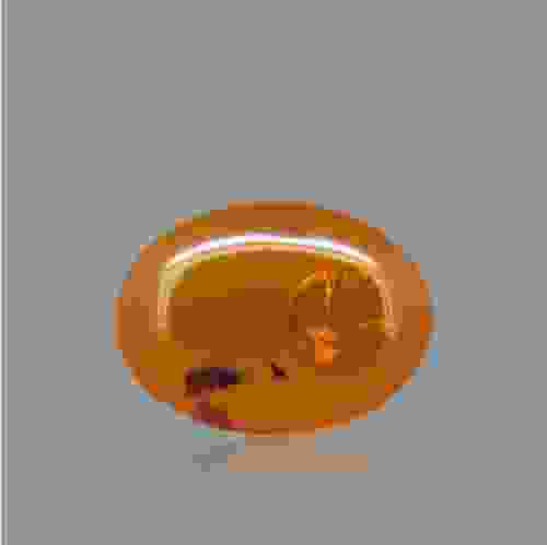 Amber Gemstone - 3.55 Carat