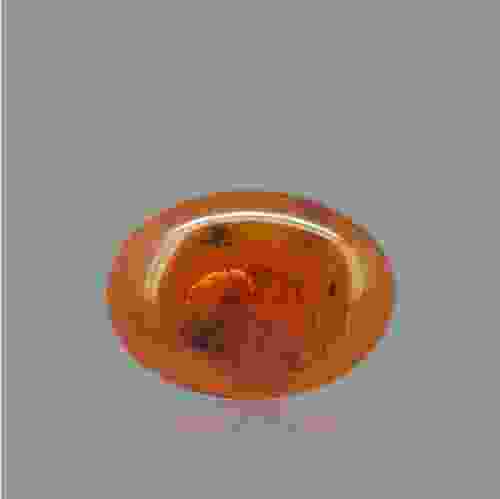 Amber Gemstone - 4.67 Carat