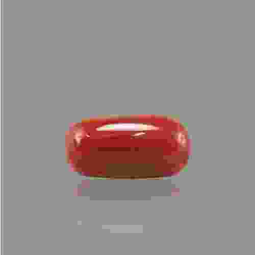 Red Coral - 9.62 Carat