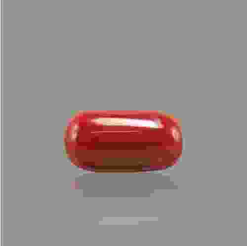 Red Coral - 8.39 Carat