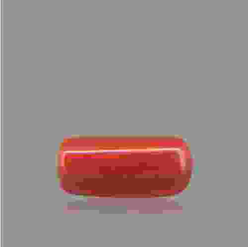 Red Coral - 2.50 Carat