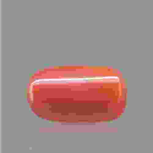 Red Coral - 8.60 Carat