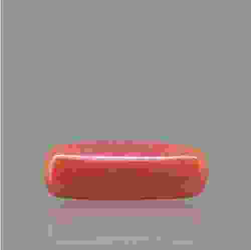 Red Coral - 6.67 Carat