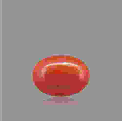 Red Coral - 1.66 Carat