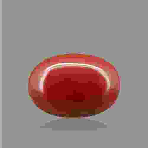 Red Coral - 6.15 Carat