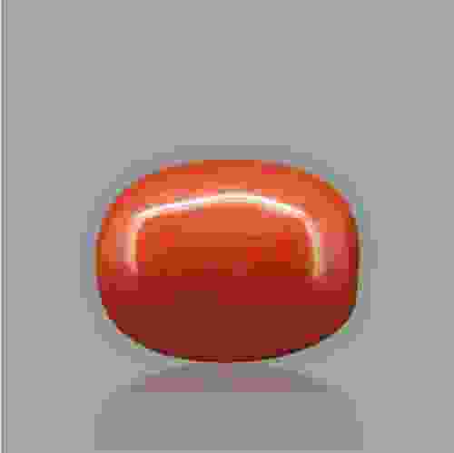 Red Coral - 6.09 Carat